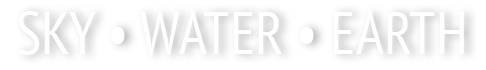 cdn_helper