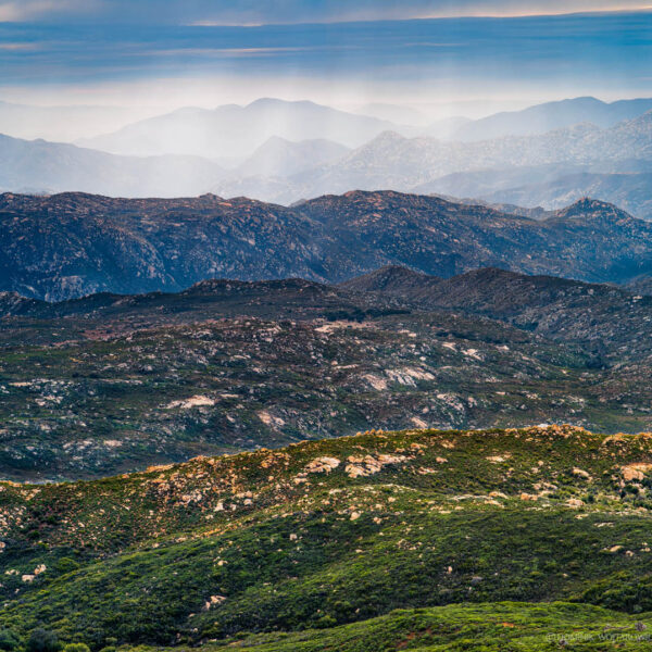 Coral Canyon, East of San Diego 2012