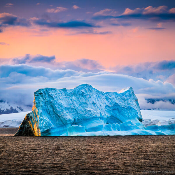 Antarctica 2014