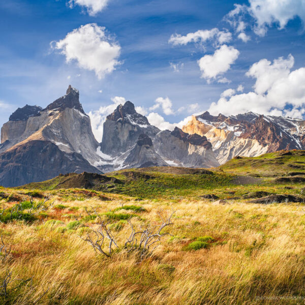 Torres del Paine, Chile 2014