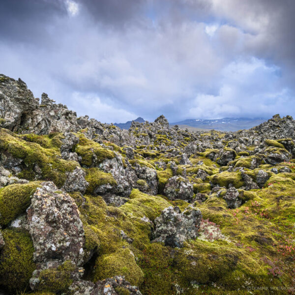 Eldhraun Lava Field, 2015