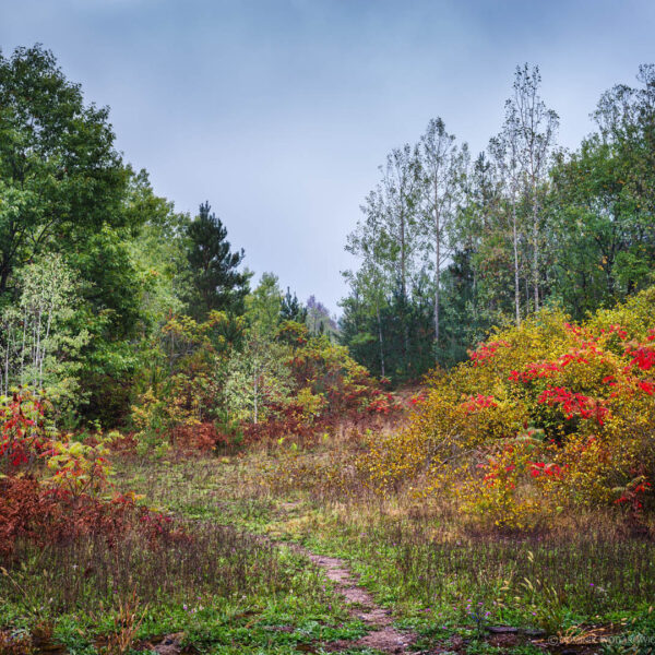 South of Barrie, Ontario 2016