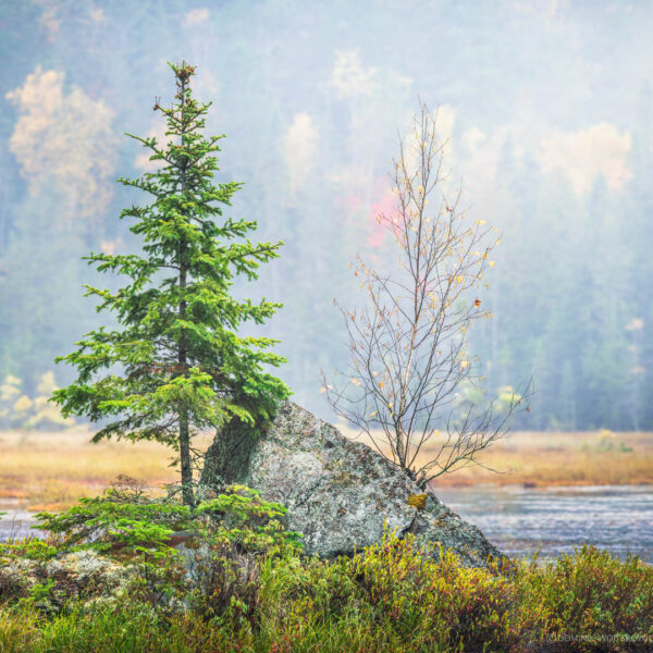 Algonquin Park, Ontario 2017